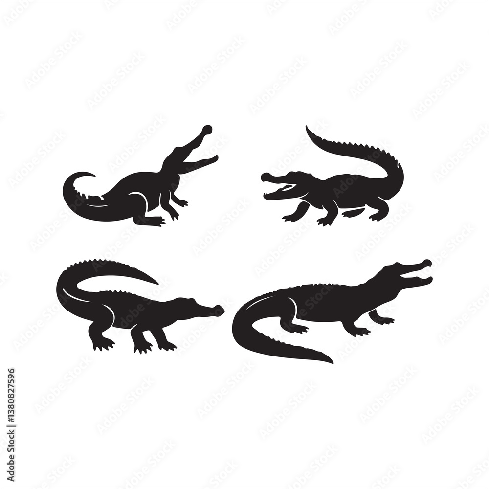 Fototapeta premium vector illustration of a dragon