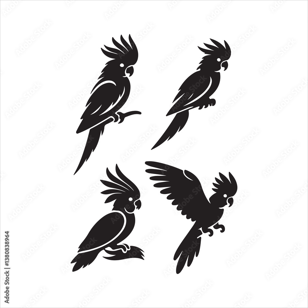 set of vector birds set of vector birds