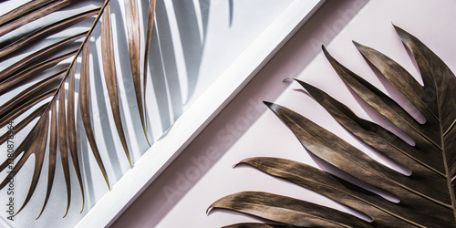 Dried tropical palm leaves with shadows on pastel background  