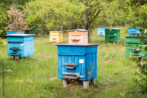 Colorful bee hives in the forest.Beekeeper's apiary
