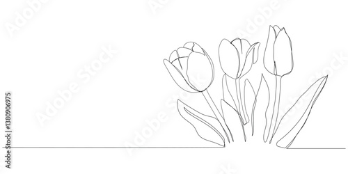 Continuous one line drawing of beautiful spring flowers vector design. Single line art illustration bouquet of tulips on transparent background