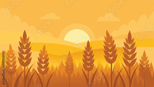 field of wheat