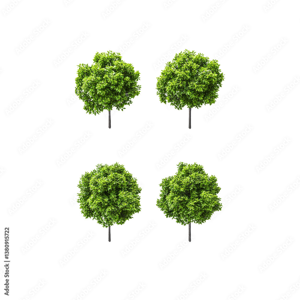 Fototapeta premium Four Lush Green Trees Isolated on - Perfect for Landscaping and Design Projects