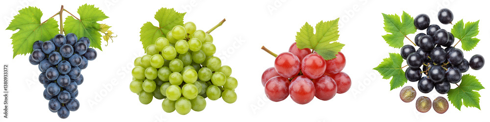 Four grape varieties black, green, red, and black seedless. Four grape varieties black, green, red, and black seedless.