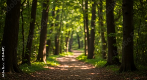 Wallpaper Mural Sun-dappled forest path, tall trees framing a blurred, inviting trail through the woods. Torontodigital.ca