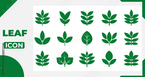 Leaf Icon Set Vector Botanical Symbols Isolated On White Background
