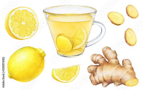 Collection of watercolor illustration of the lemon fruit and ginger root with parts and slices, glass cup with ginger lemon tea.