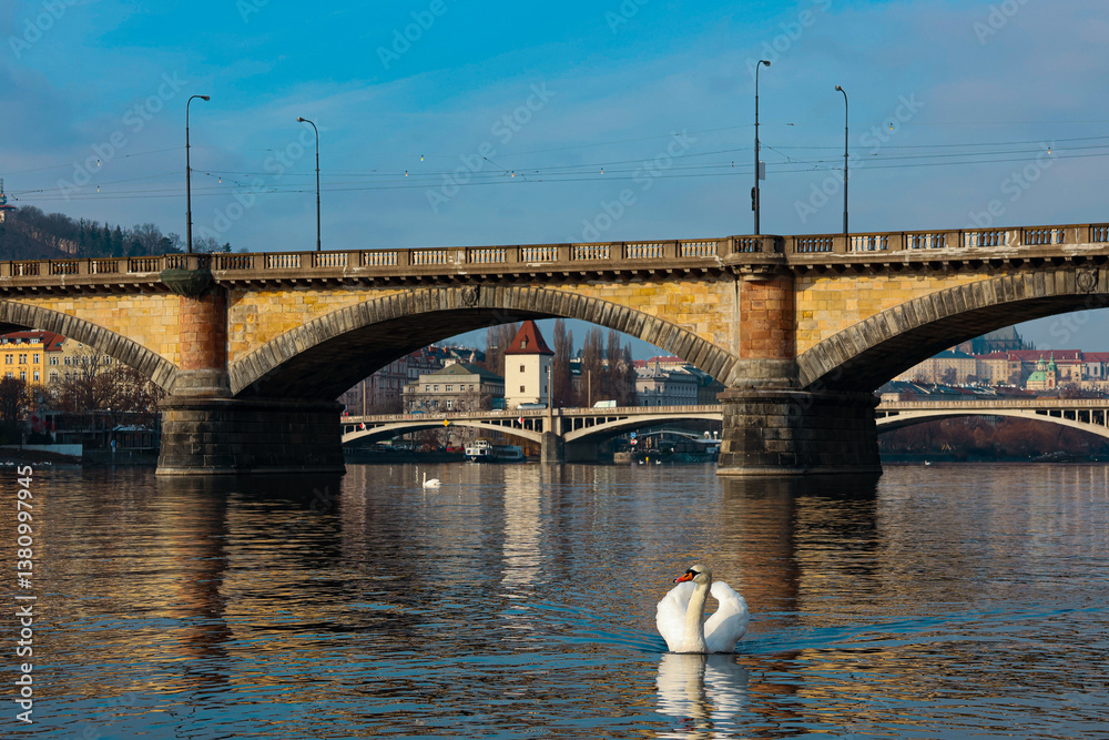 Fototapeta premium Charles bridge 