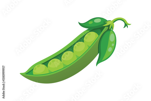 Vector illustration of pea pod isolated on white background. Healthy food or vegetarian and vegan theme. Fresh organic farm vegetables.
