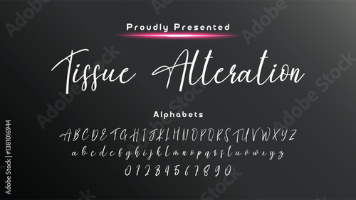 Bold and script alphabets. Vector font duo