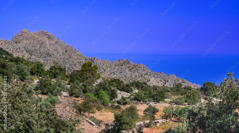 Fototapeta premium Paraje Natural de la Sierra de Tramuntana, UNESCO World Heritage Site, Mallorca, Islas Baleares, Spain, Europe