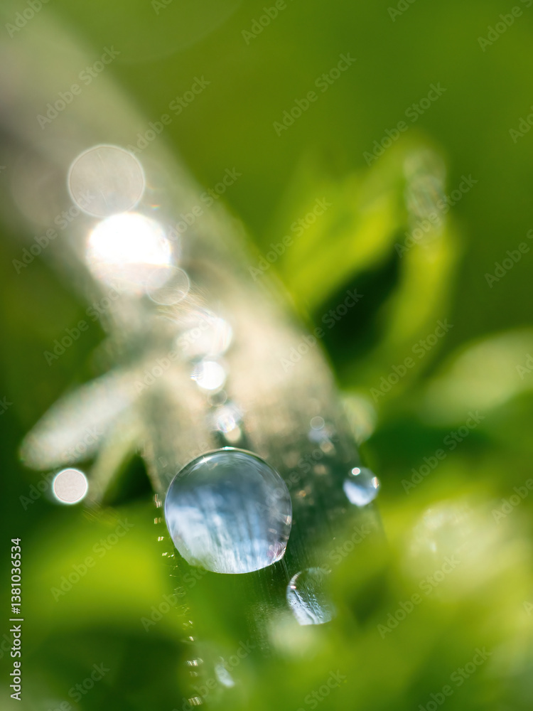 dew-covered grass blades sparkle in the soft morning light, with vibrant green hues and delicate droplets