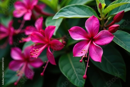 Vibrant fuchsia blossoms, intricate leaf details, seamless pattern, floral pattern