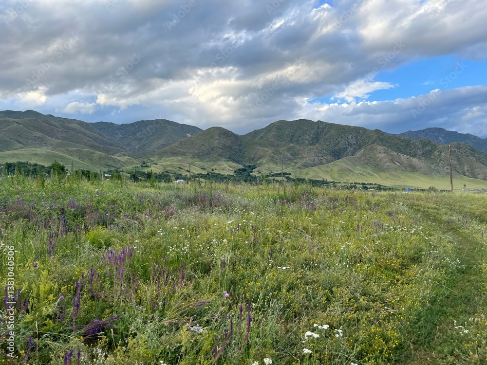 Fototapeta premium rolling green hills with wildflowers under dramatic sky. tranquil mountain landscape for nature background and travel blogs