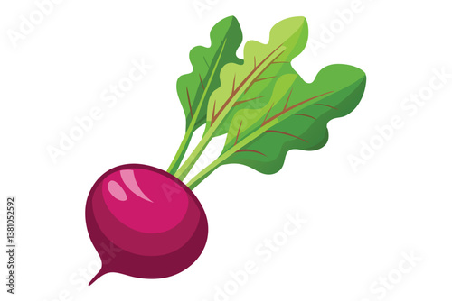 Vector cartoon illustration of a beet isolated on white background. Fresh and healthy food or vegetarian and vegan theme. Organic farm vegetables.