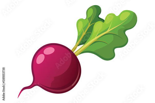Vector cartoon illustration of a beet isolated on white background. Fresh and healthy food or vegetarian and vegan theme. Organic farm vegetables.