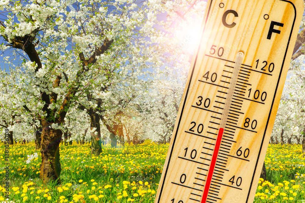 Ein Thermometer zeigt warme Temperatur zum Frühlingsanfang mit blühenden Blumen und Knospen im Hintergrund - FOTOMONTAGE