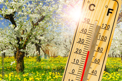 Obraz na płótnie Ein Thermometer zeigt warme Temperatur zum Frühlingsanfang mit blühenden Blumen und Knospen im Hintergrund - FOTOMONTAGE w salonie