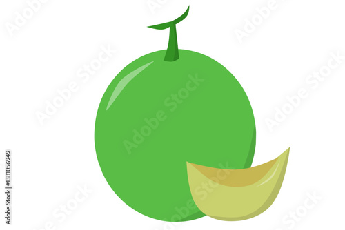 vector illustration of a melon, Fruit