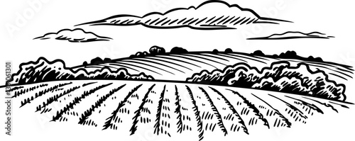 scenic rural landscape illustration with rolling fields and cloudy sky, classic countryside view