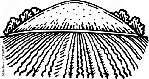 Monochrome farming field illustration with rows and hillside landscape