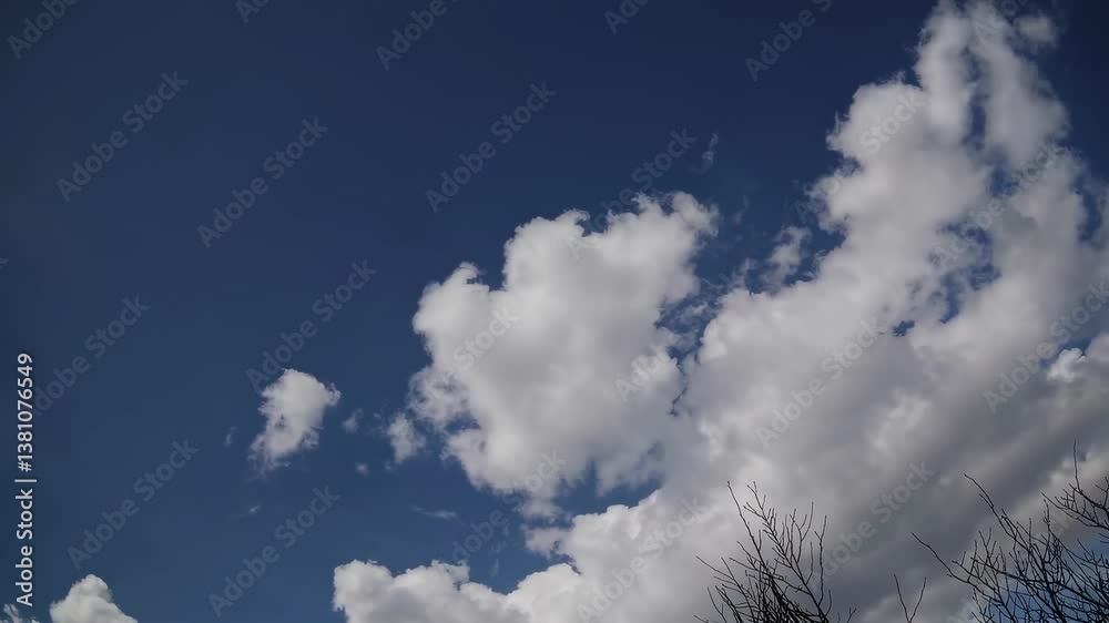 Nuages blancs épais et lumineux se déplaçant lentement dans un ciel bleu profond, vidéo naturelle relaxante avec branches fines en bas de cadre, idéale comme fond animé