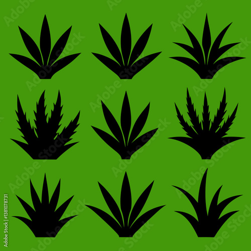 cannabis leaf vector illustration