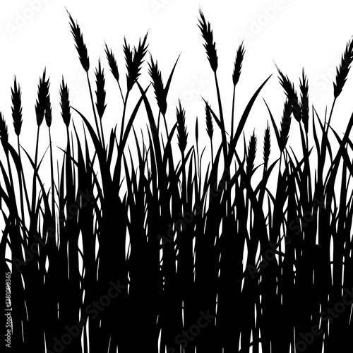 grass and reeds