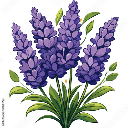 Lavender flowers bouquet vector illustration. Aromatic bunch of medicinal soothing herbs for essential oil production on isolated background