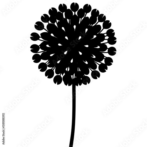 vector dandelion flower