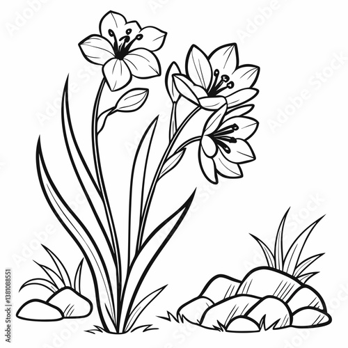 vector illustration of a flower