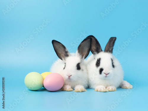 Two baby white rabbit with easter eggs on blue background.