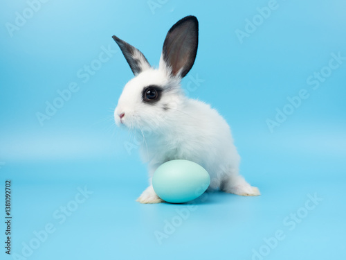 A baby white rabbit with easter eggs on blue background.