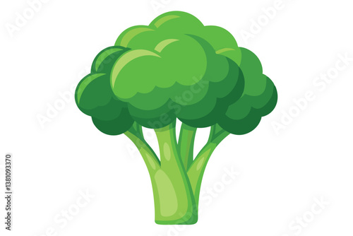 Vector illustration of broccoli isolated on white background. Healthy food or vegan and vegetarian theme. Fresh organic farm vegetables.