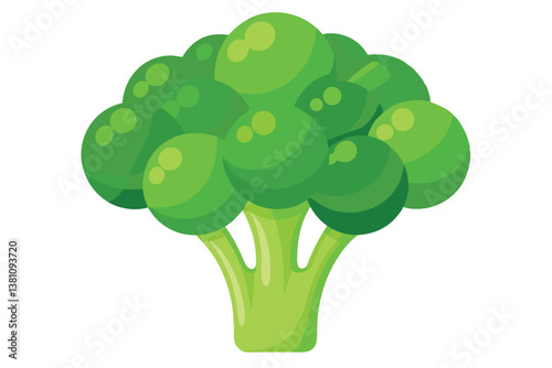Vector illustration of broccoli isolated on white background. Healthy food or vegan and vegetarian theme. Fresh organic farm vegetables.