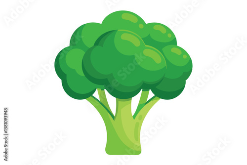 Vector illustration of broccoli isolated on white background. Healthy food or vegan and vegetarian theme. Fresh organic farm vegetables.