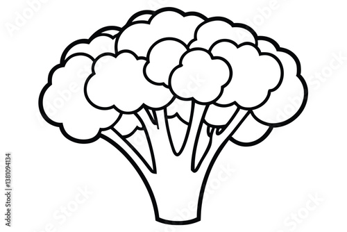 Vector illustration of broccoli isolated on white background. Healthy food or vegan and vegetarian theme. Fresh organic farm vegetables.