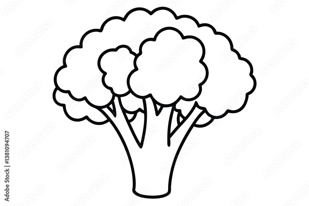 Vector illustration of broccoli isolated on white background. Healthy food or vegan and vegetarian theme. Fresh organic farm vegetables. Vector illustration of broccoli isolated on white background. Healthy food or vegan and vegetarian theme. Fresh organic farm vegetables.