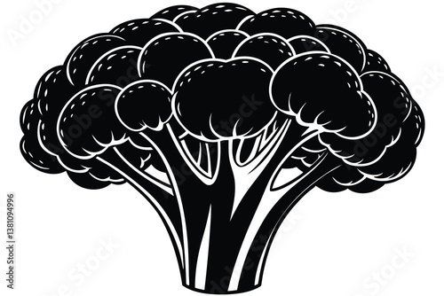 Vector illustration of broccoli isolated on white background. Healthy food or vegan and vegetarian theme. Fresh organic farm vegetables.