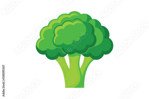 Vector illustration of broccoli isolated on white background. Healthy food or vegan and vegetarian theme. Fresh organic farm vegetables.