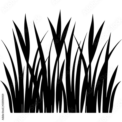 wheat field vector illustration