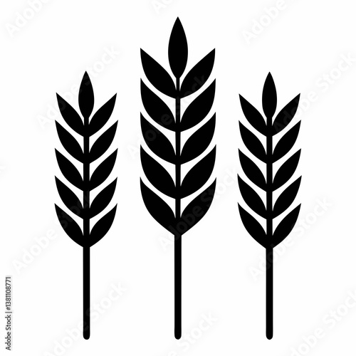 wheat ears isolated on white background