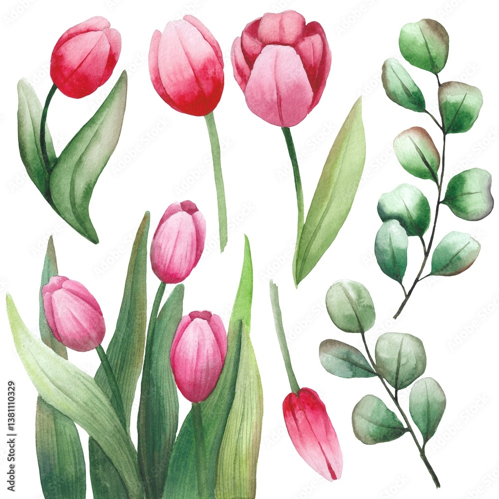 Spring flowers. Red tulips on white background. Floral set. Watercolor illustration. Watercolor collection of tulips.