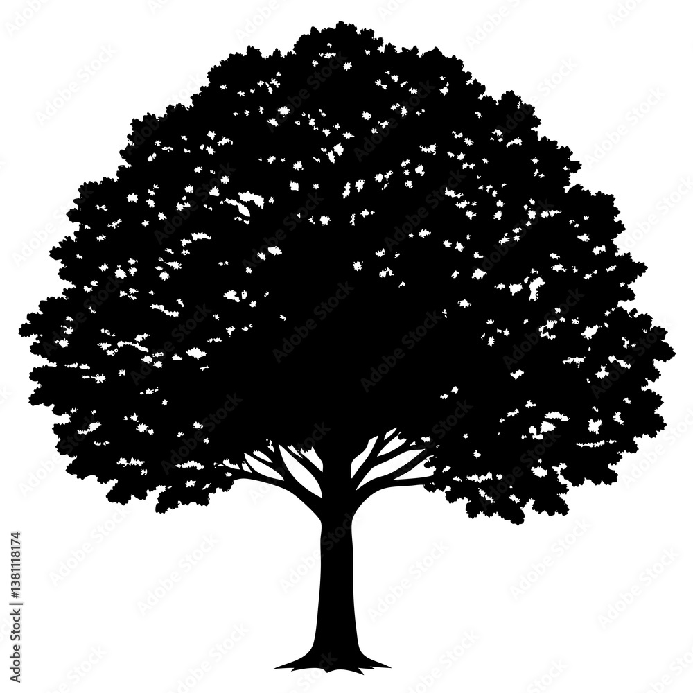 Fototapeta premium tree silhouette isolated on white