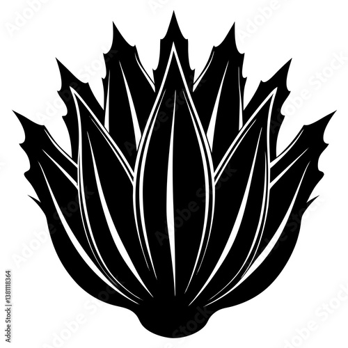 crown of thorns and flower