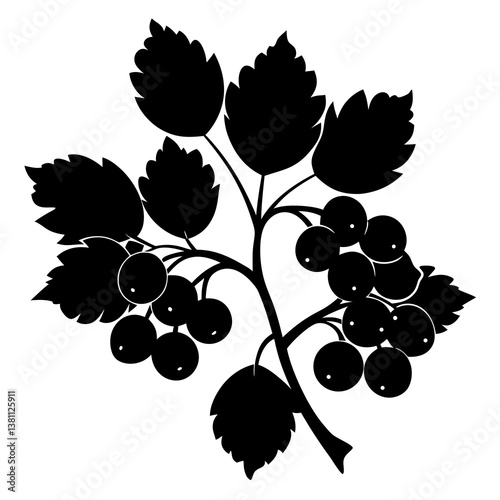 bunch of grapes
