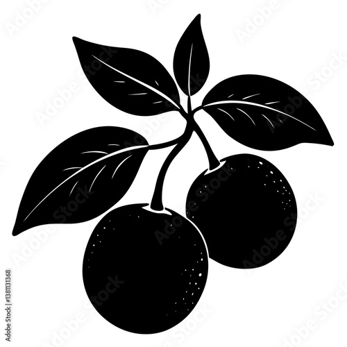 vector illustration of plums