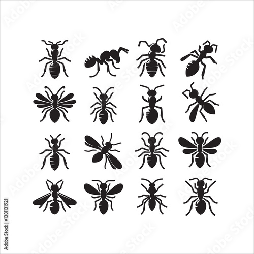 set of black ants