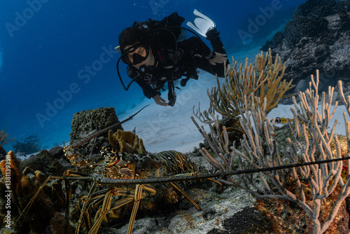Diver with a lobster in the Caribbean Sea 