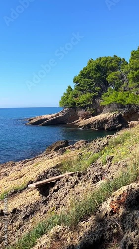 Rocky coastline of Montenegro with clear blue sea, green pine trees, and rugged cliffs under a bright summer sky — a peaceful and wild Mediterranean escape.
